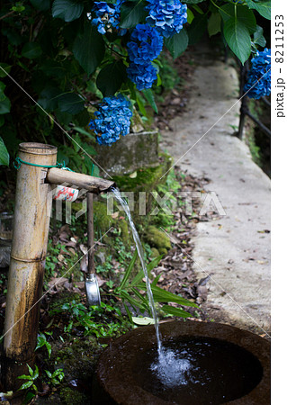 あじざいと水場 8211253