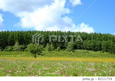 太陽の丘えんがる公園 太陽の丘えんがる公園 8211759