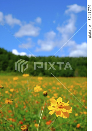 太陽の丘えんがる公園 8211776