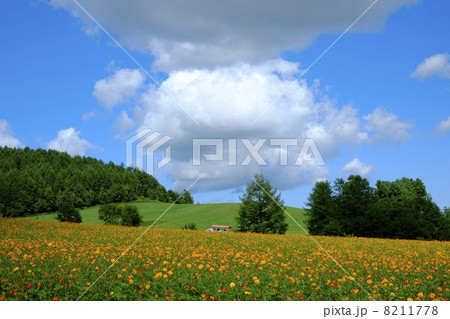 太陽の丘えんがる公園 8211778