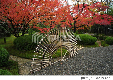 京都　松花堂庭園の紅葉 8219327