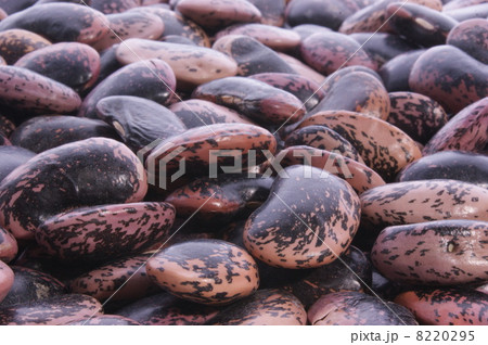 some raw cranberry beans ready to cook some raw cranberry beans ready to cook 8220295