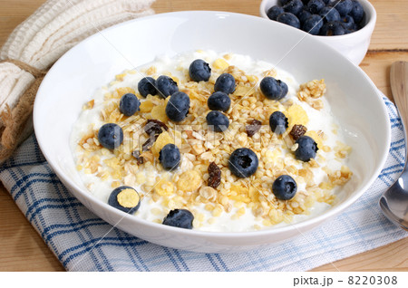 cereal with milk and some fresh organic blueberries 8220308