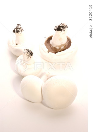 fresh raw mushroom on a white background 8220419
