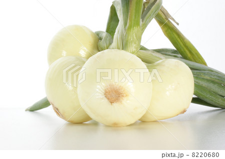 some withe onions and a white background some withe onions and a white background 8220680