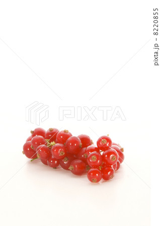 some fresh red currant on a white background 8220855
