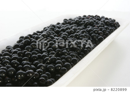 elderberries on a styrofoam container elderberries on a styrofoam container 8220899