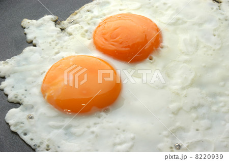 two fried organic eggs in a pan two fried organic eggs in a pan 8220939