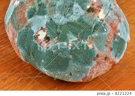 mouldy bread unhealthy to eat on a timber board 8221224