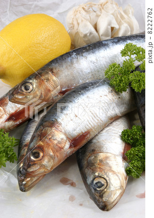 some fresh sardines before cooking as food some fresh sardines before cooking as food 8222762