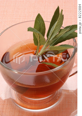 freshly cooked sage tea in a glass cup 8222884