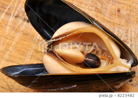 cooked and opened organic mussel ready to eat cooked and opened organic mussel ready to eat 8223482