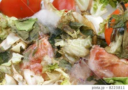 mold infested vegetables unhealthy to eat 8223811