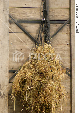 Hay as forage hung in a net Hay as forage hung in a net 8224037