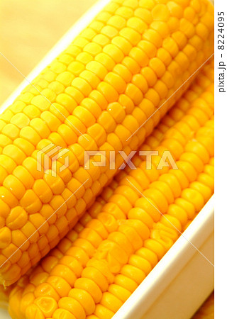cooked sweetcorn 8224095