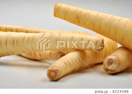 some organic, healthy parsnip and white background some organic, healthy parsnip and white background 8224396
