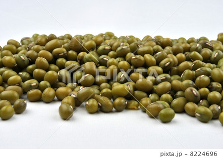 organic mung beans are good for salad 8224696