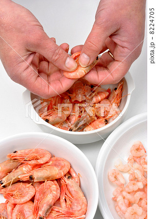 hold and prepare some organic prawns to eat hold and prepare some organic prawns to eat 8224705