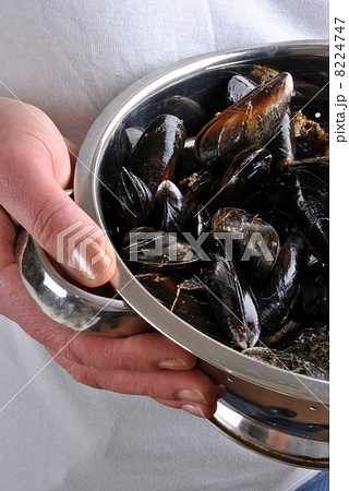 some fresh and organic mussel before preparation 8224747