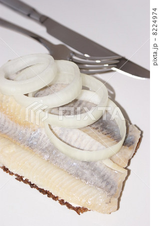 matie, a young herring on a slice bread 8224974