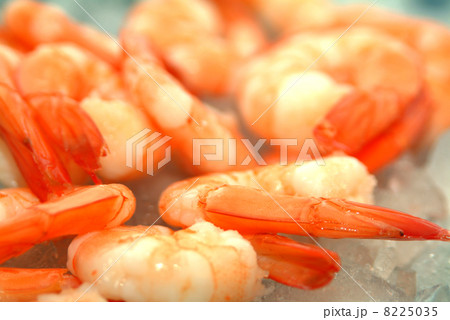 fresh king prawns on some ice ready to eat fresh king prawns on some ice ready to eat 8225035