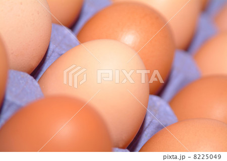 happy easter holiday happy easter holiday 8225049