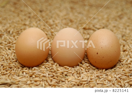 i love eggs i love eggs 8225141