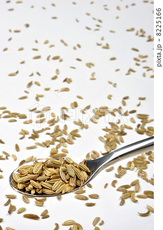 some organic caraway seed and a white background 8225166