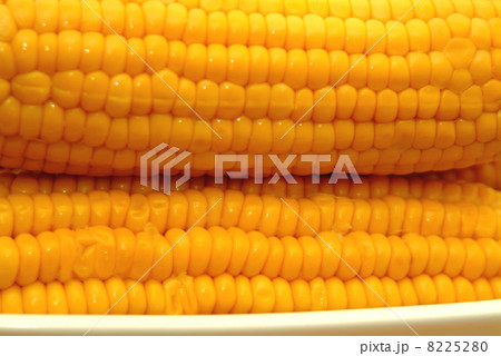 cooked sweetcorn 8225280