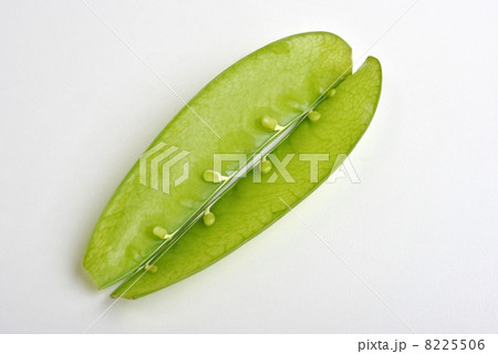 fresh organic mangetout, also known as sugar snap pea fresh organic mangetout, also known as sugar snap pea 8225506