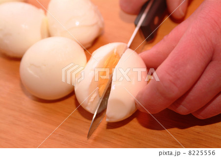 homemade egg salad 8225556