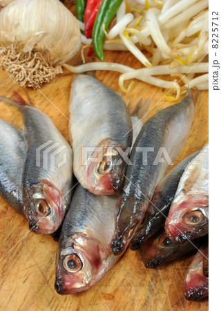 some fresh organic sprats and bean sprouts some fresh organic sprats and bean sprouts 8225712