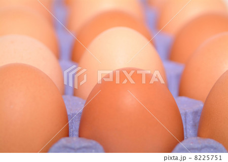 happy easter holiday 8225751