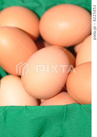 happy easter holiday happy easter holiday 8225852