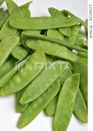 fresh organic mangetout, also known as sugar snap pea 8226023