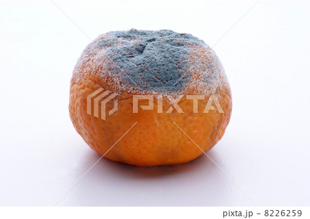 mandarin mouldy organic fruit unhealthy to eat 8226259