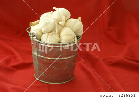 some fresh organic garlic in a bucket 8226851