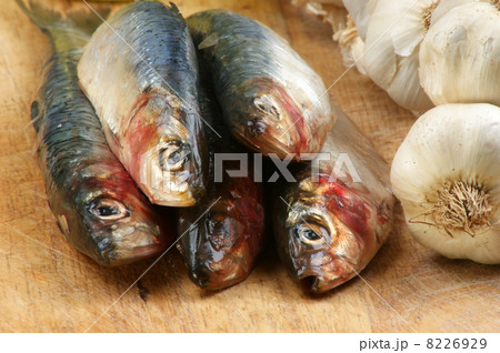 some fresh organic sardine on a timber board 8226929