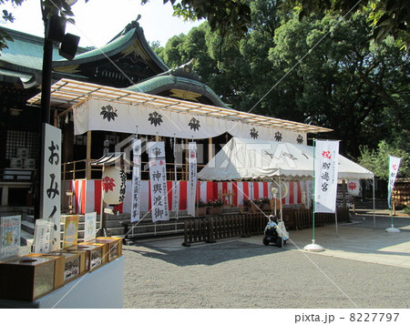 東京都杉並区　大宮八幡宮 8227797