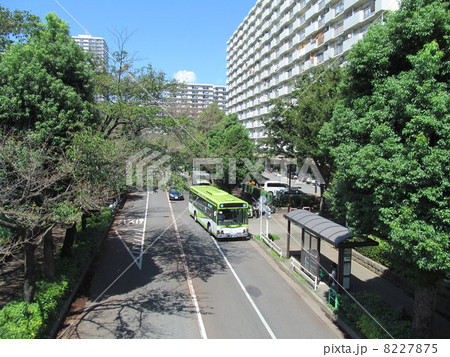 光が丘団地とバスの写真素材