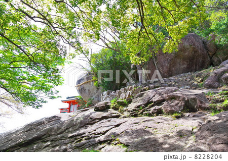 ゴトビキ岩 ゴトビキ岩 8228204