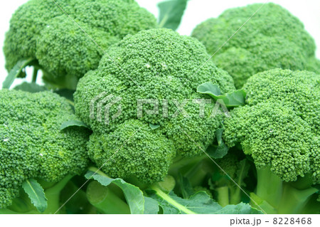 ブロッコリー 8228468
