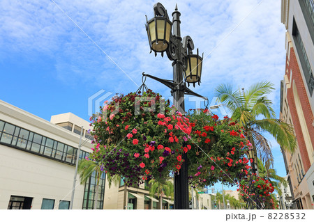 ロサンゼルスのロデオドライブ周辺 8228532