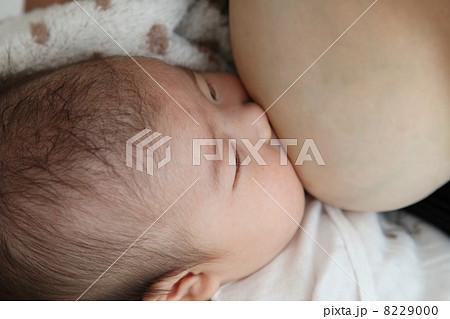 おっぱいを飲む赤ちゃん 8229000