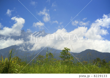 キナバル山　ボルネオ島 8229133
