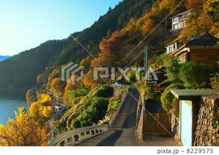 奥多摩湖の村 奥多摩湖の村 8229575