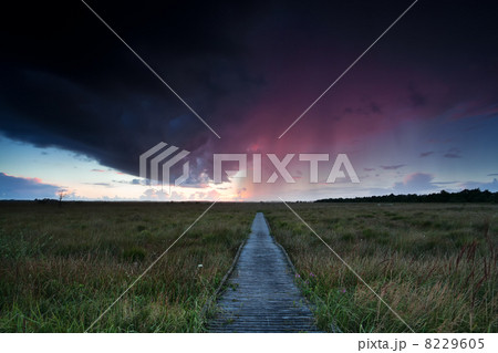 dramatic thunderstorm over path through swamps 8229605