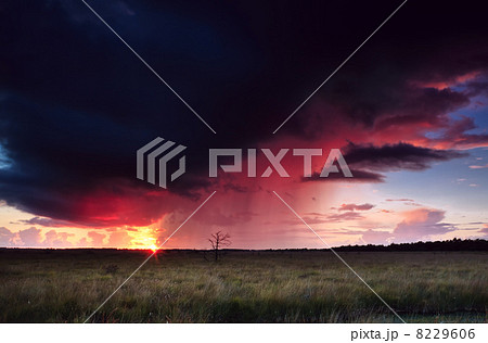 dramatic thunderstorm at sunset 8229606