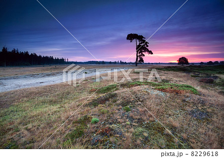 pink warm sunrise over wild hills and meadows 8229618