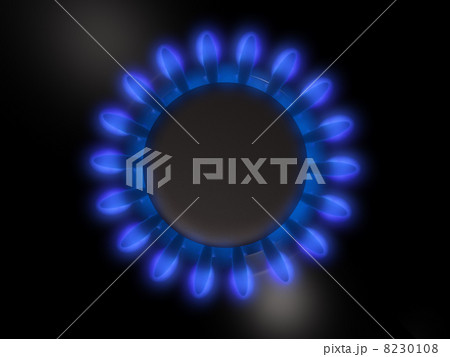 Gas burner 8230108